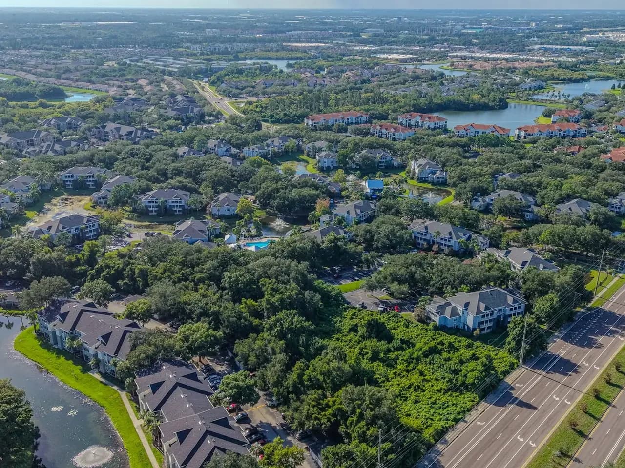 Aerial view of a leafy local neighborhood